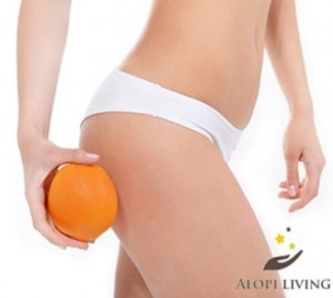 untitled1_30639_thumb